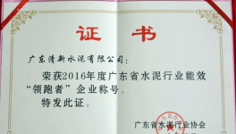 清新海螺獲得水泥行業能效“領跑者”企業