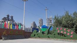 燒成車間有支敢于擔當的“青年突擊隊”